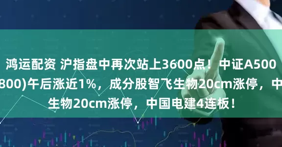 鸿运配资 沪指盘中再次站上3600点！中证A500ETF龙头(563800)午后涨近1%，成分股智飞生物20cm涨停，中国电建4连板！
